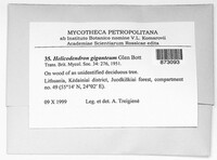 Image Associated With the Occurrence